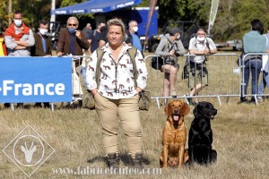 FDCO-2020-00286