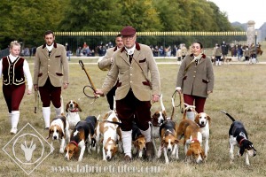 FDCO-2020-00422