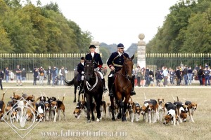 FDCO-2020-00509