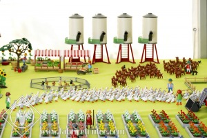 FDCO-2020-00980