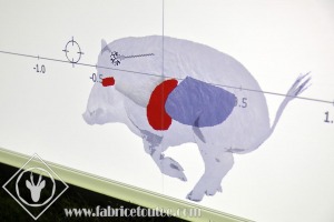 FDCO-2020-00987