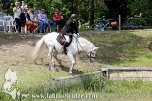 CFCC 2017 01237