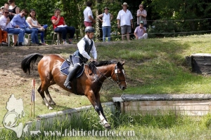 CFCC 2017 01396