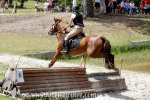 CFCC 2017 01407