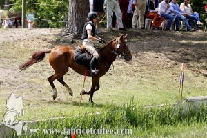 CFCC 2017 01408