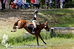 CFCC 2017 01409