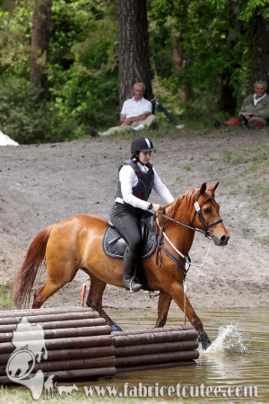 CFCC 2017 01415