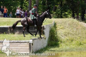 CFCC 2017 01435