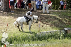 CFCC 2017 01449