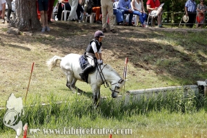 CFCC 2017 01450