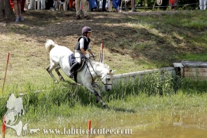 CFCC 2017 01451