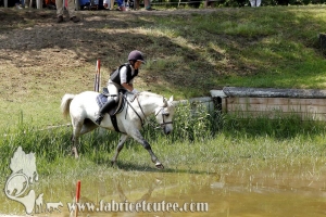 CFCC 2017 01452