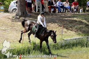 CFCC 2017 01465