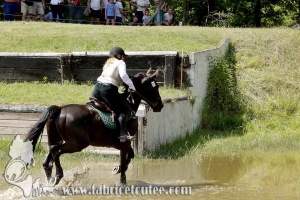 CFCC 2017 01467