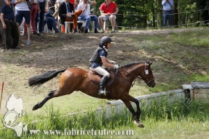 CFCC 2017 01547