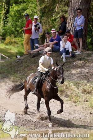 CFCC 2017 01553