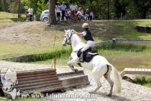 CFCC 2017 01577