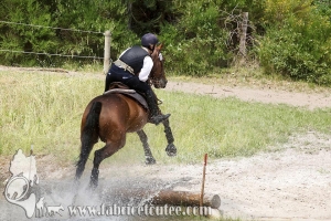 CFCC 2017 01600
