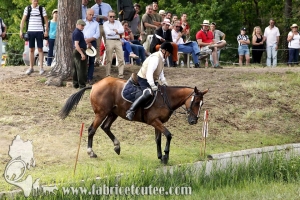 CFCC 2017 01620