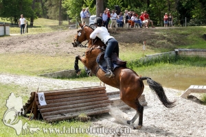CFCC 2017 01632