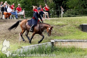 CFCC 2017 01645
