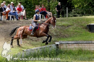 CFCC 2017 01659