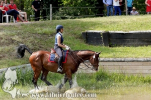 CFCC 2017 01661