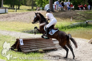 CFCC 2017 01687