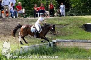 CFCC 2017 01688