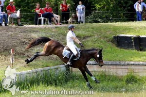 CFCC 2017 01689