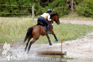 CFCC 2017 01695