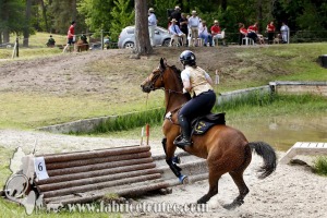 CFCC 2017 01700