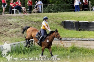 CFCC 2017 01704