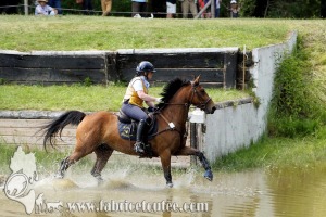 CFCC 2017 01705