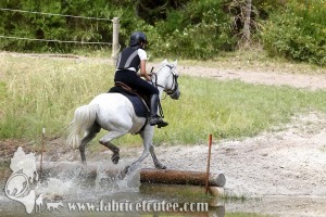 CFCC 2017 01712