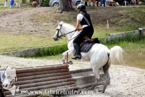 CFCC 2017 01716