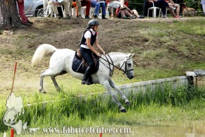 CFCC 2017 01717