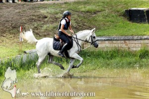 CFCC 2017 01718