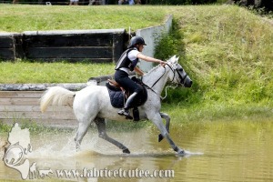 CFCC 2017 01719