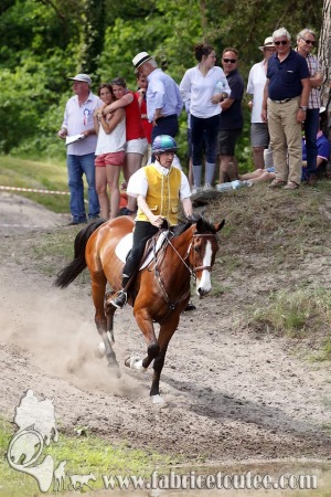 CFCC 2017 01720
