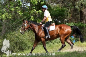 CFCC 2017 01723