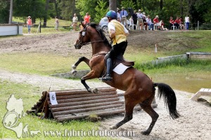 CFCC 2017 01726