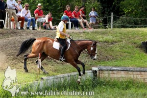 CFCC 2017 01727