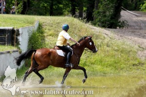 CFCC 2017 01729