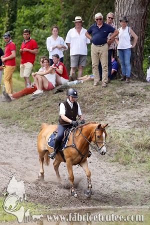 CFCC 2017 01731
