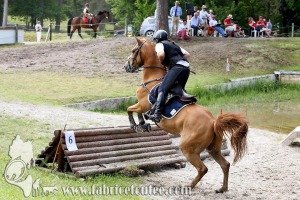 CFCC 2017 01739