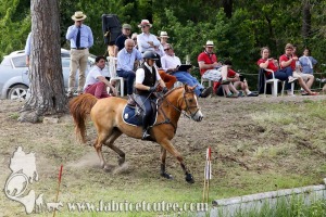 CFCC 2017 01740