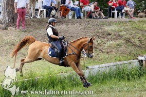 CFCC 2017 01741
