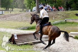 CFCC 2017 01745