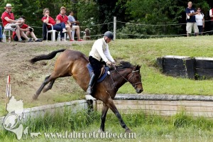 CFCC 2017 01747
